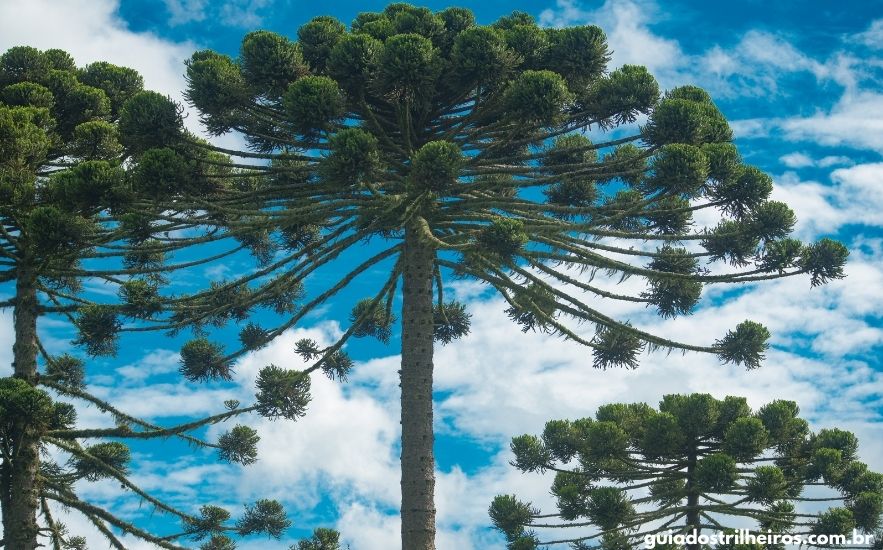 Lugares para Conhecer no RS no Inverno