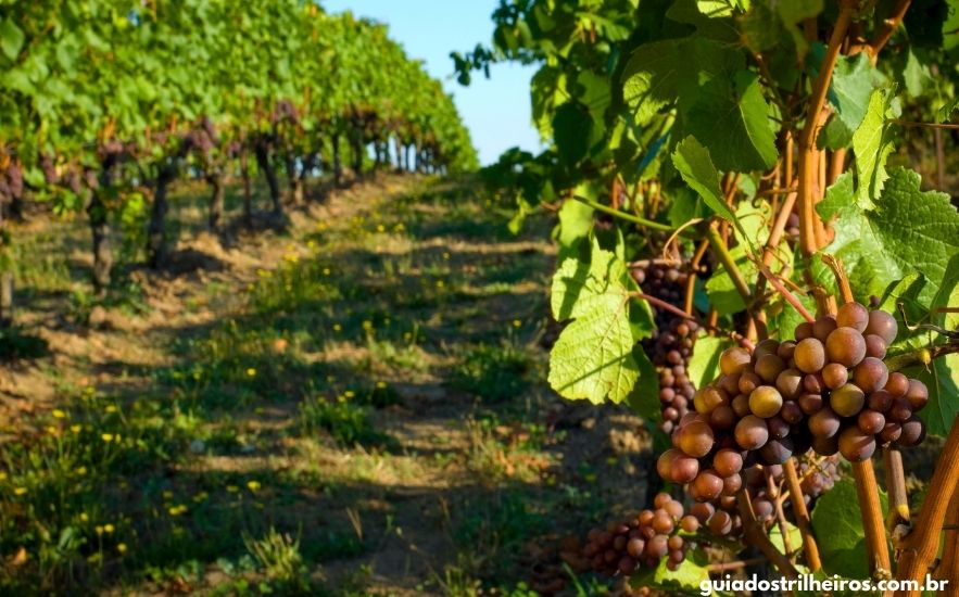 Lugares para Conhecer no RS no Inverno