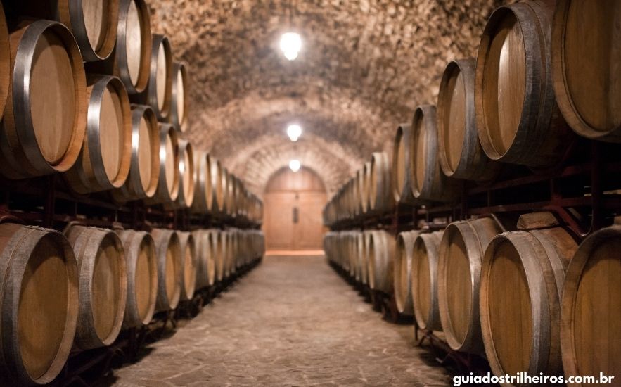 Lugares para Viajar no Inverno em SP