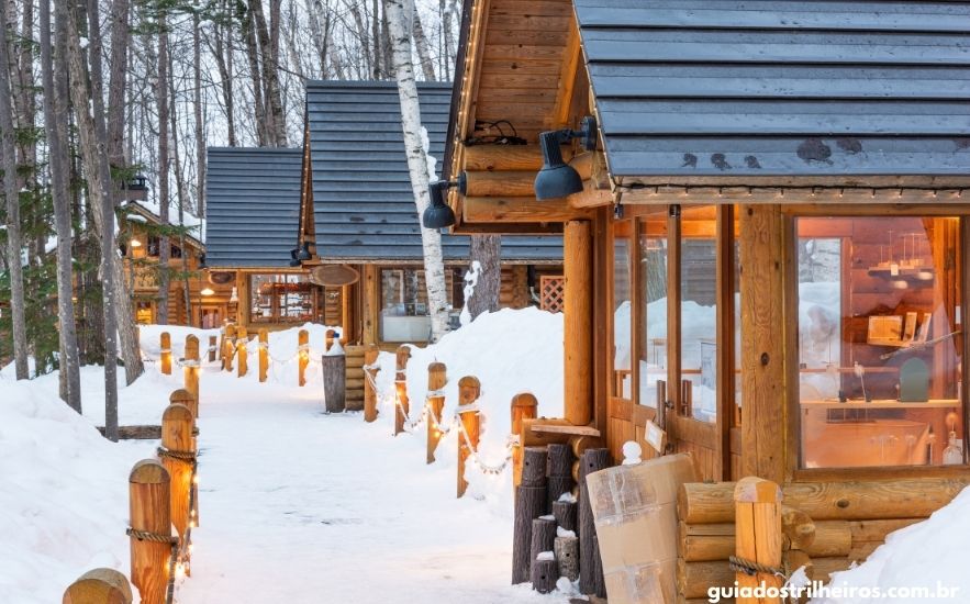 Melhor Época para Ir ao Chile Ver Neve