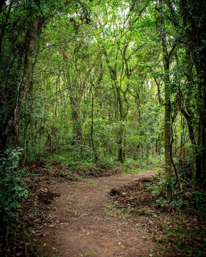 Cachoeira da Mariquinha