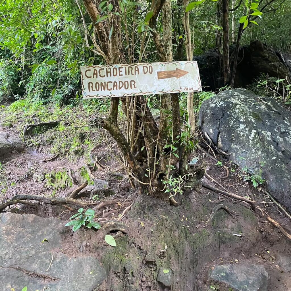placa roncador