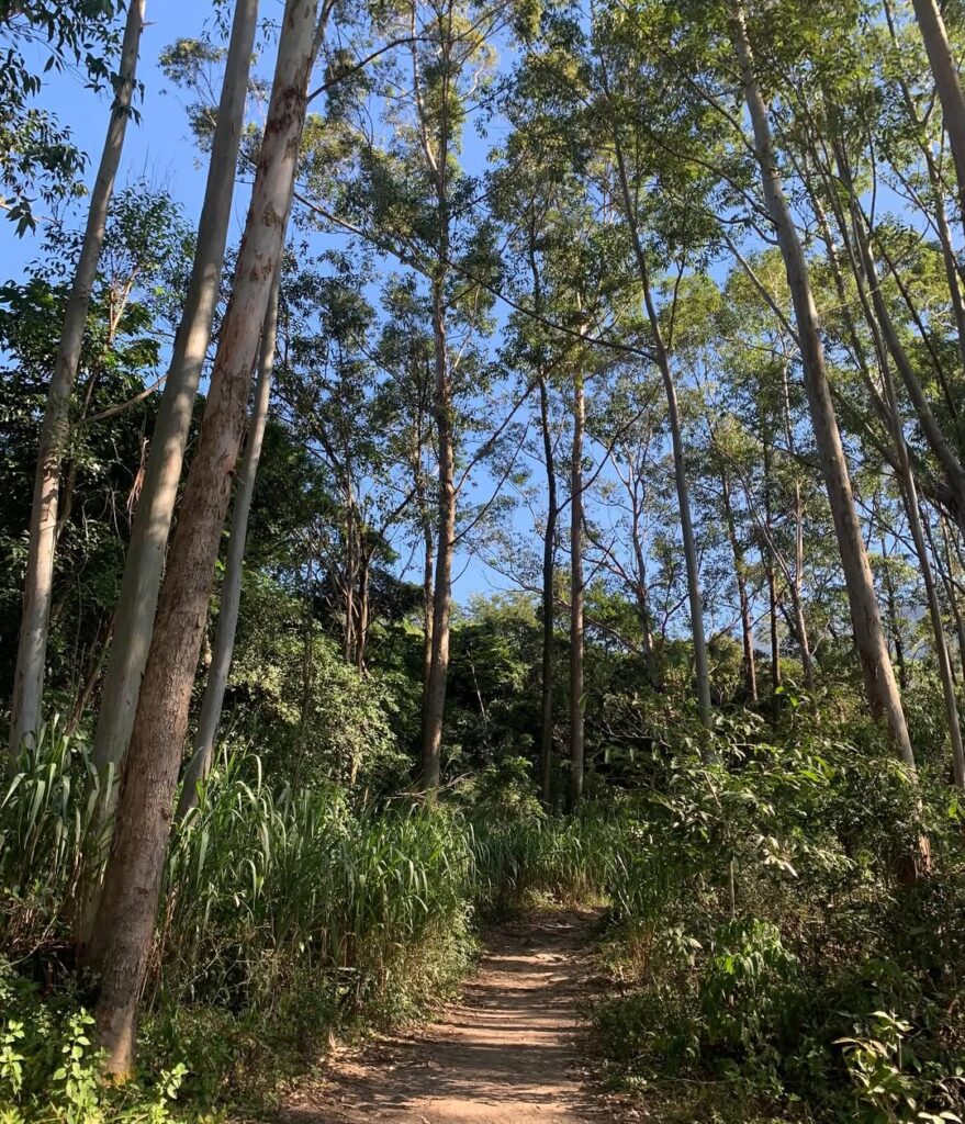 trilha da cachoeira do jarrao
