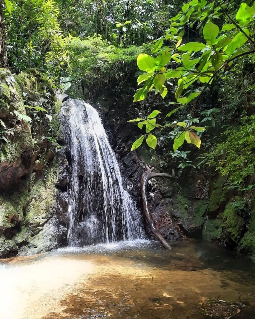 Cachoeira do Sagui