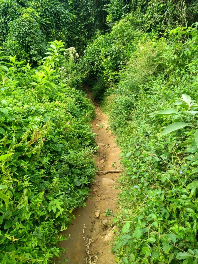 trilha cachoeira do poção