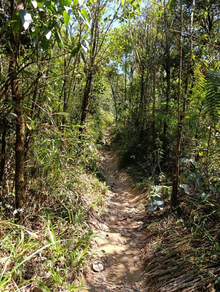 trilha da cachoeira da torre 2