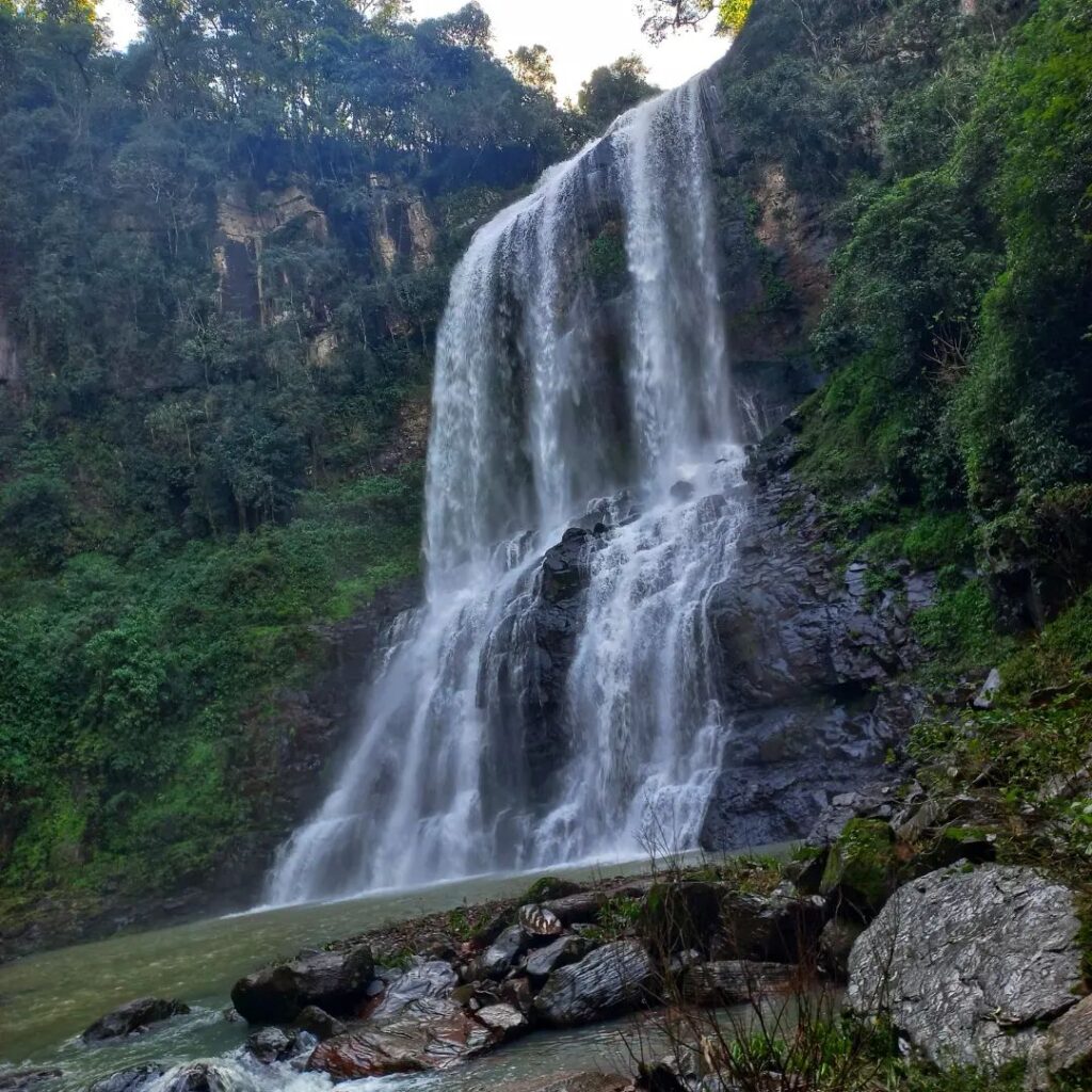 CASCATA CAMICIA