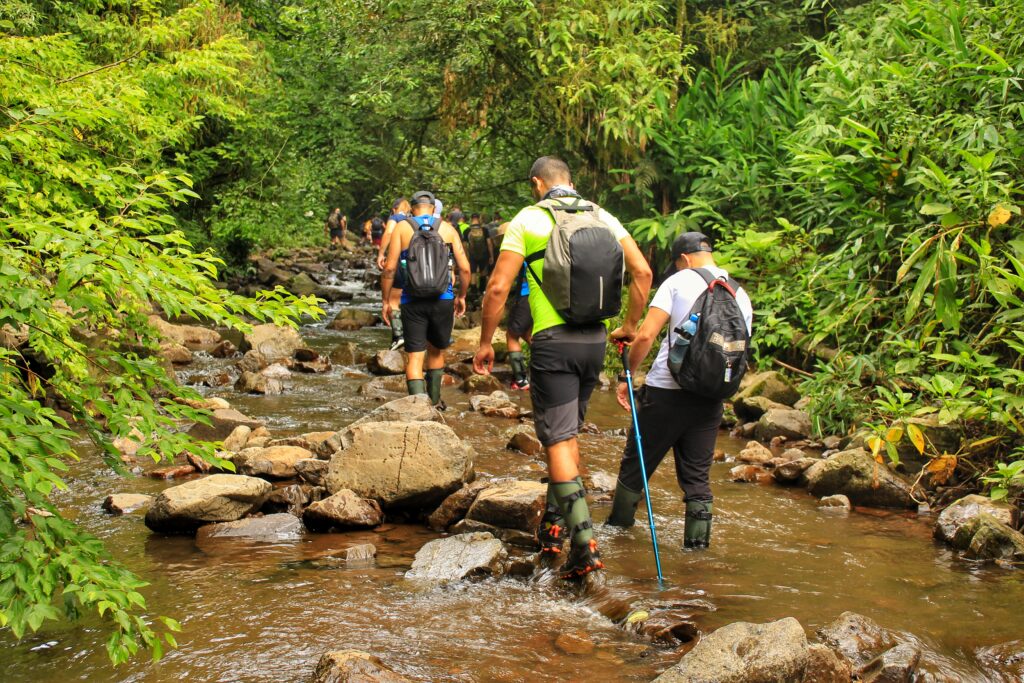 cascata do gavião faiado