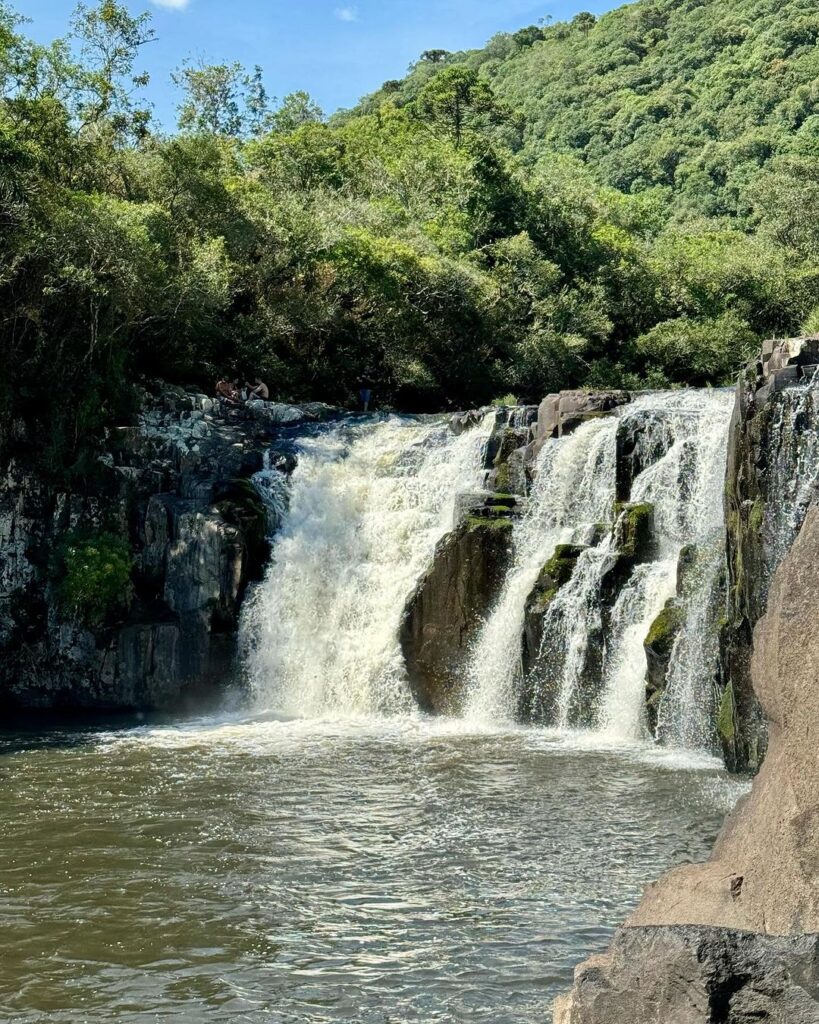 PERAU DE JANEIRO