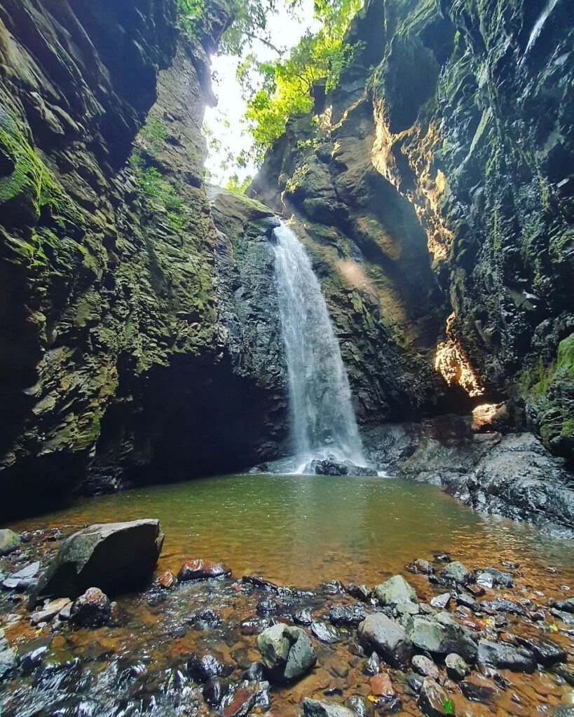 cascata do gavião faiado