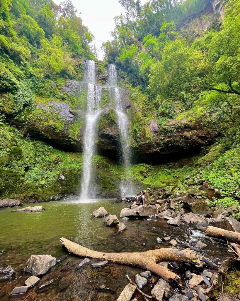 Cascata da Baleia