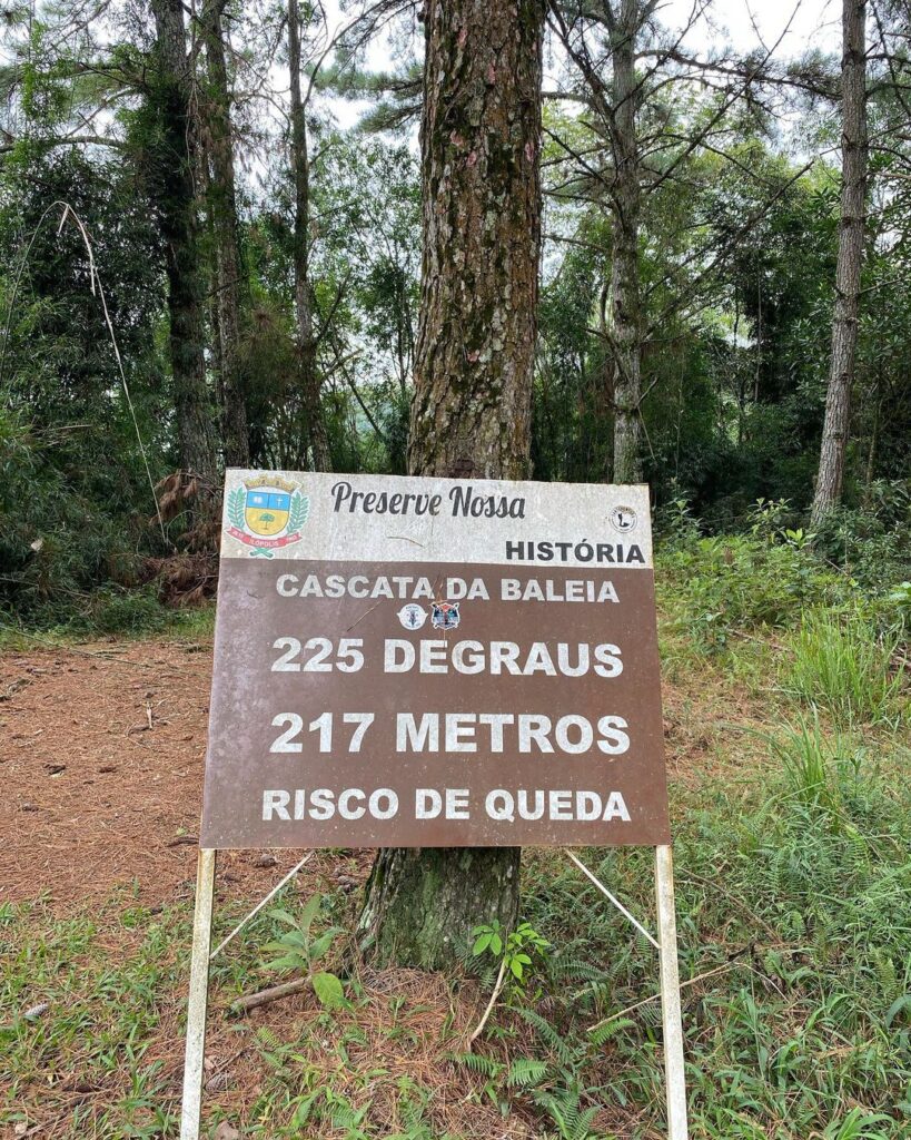 Cascata da Baleia