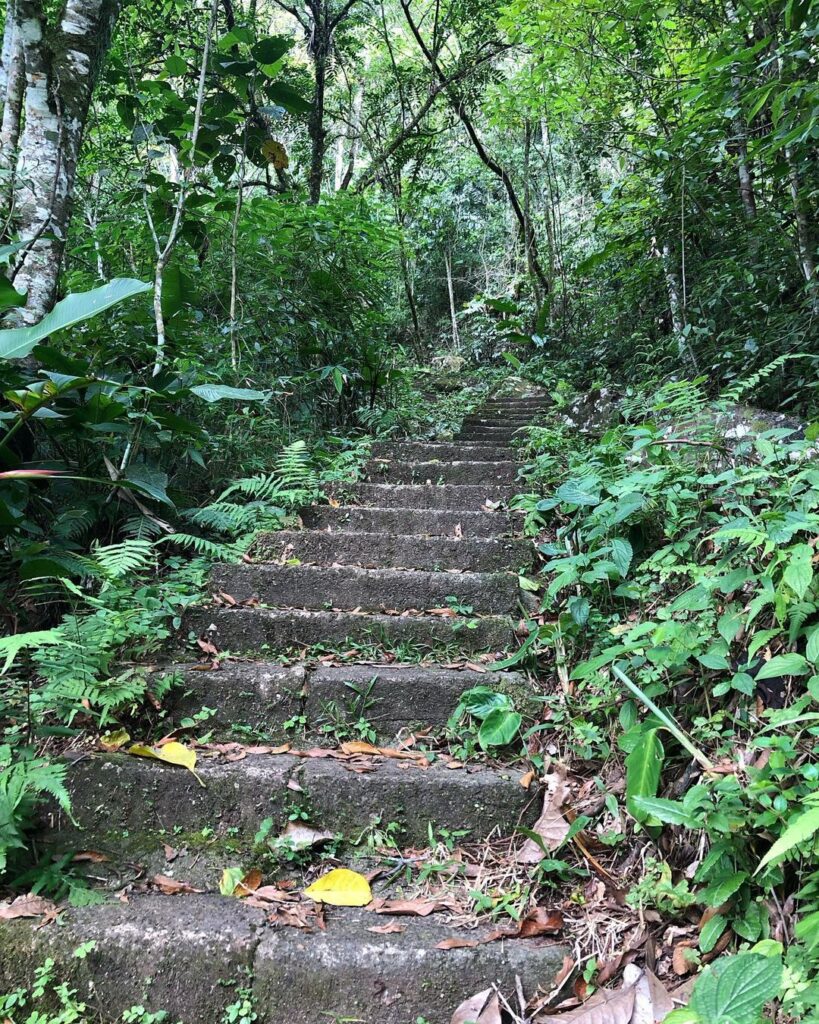 Poço das Andorinhas