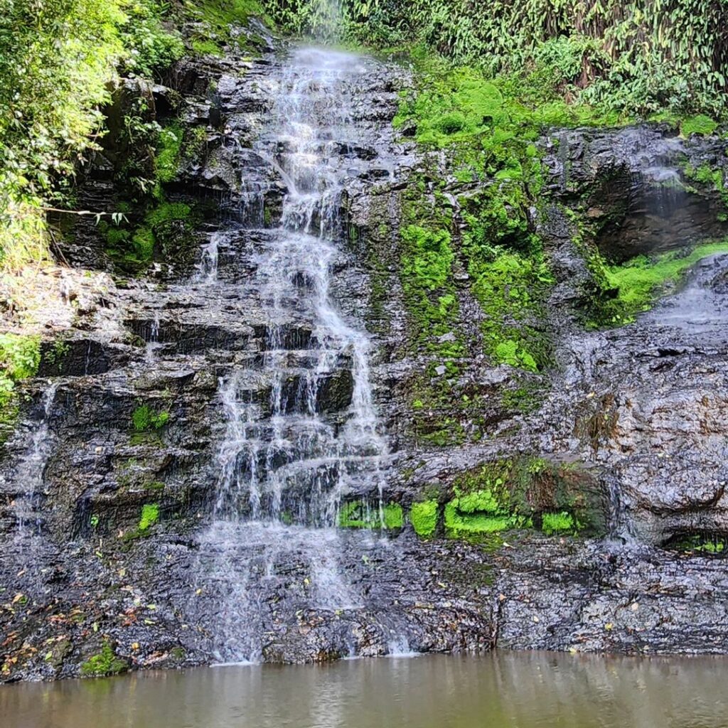 Cascata Alto Feliz