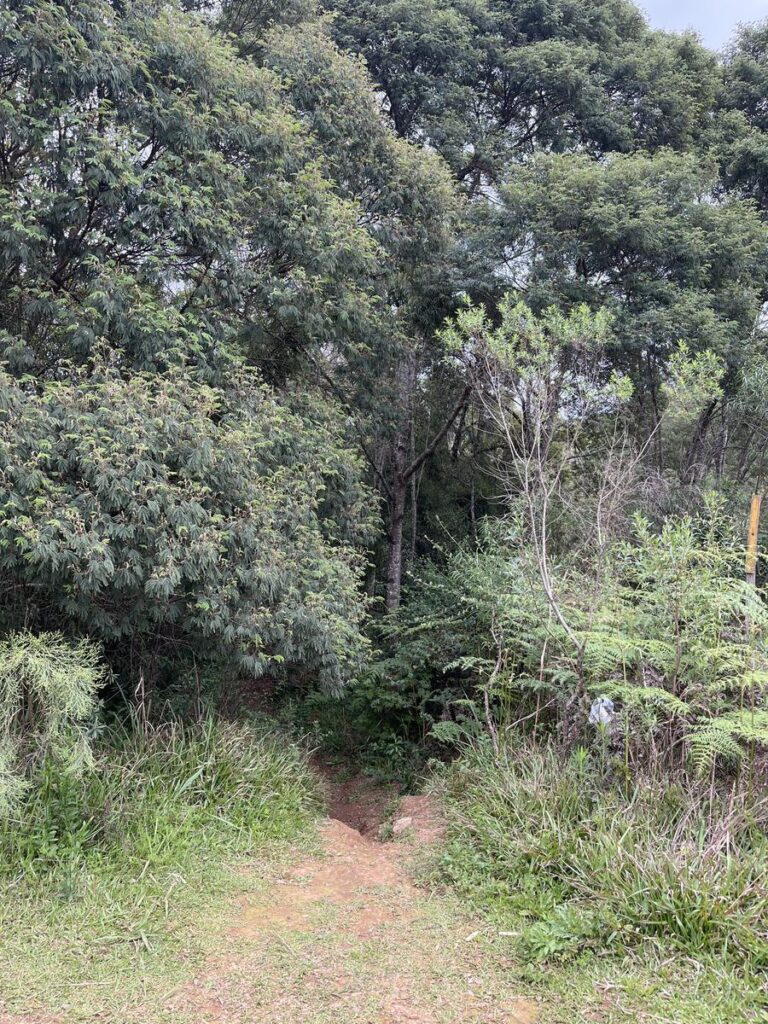 Cascata do Rio São Marcos