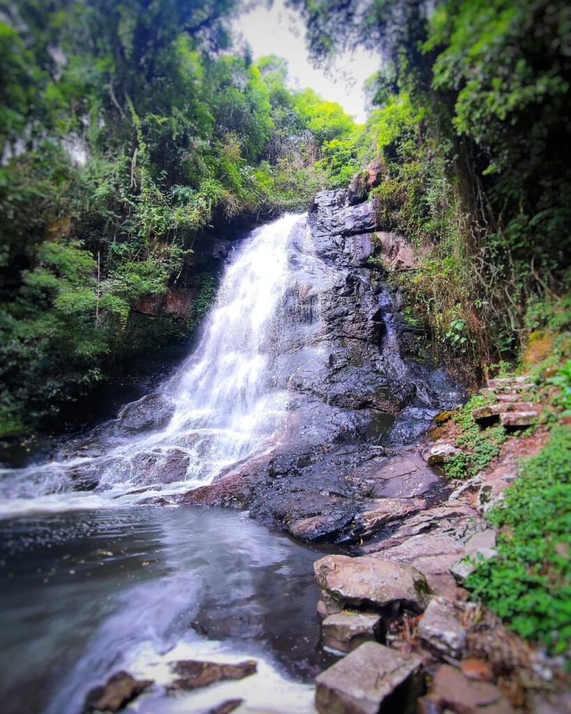 Cascata dos Narcisos