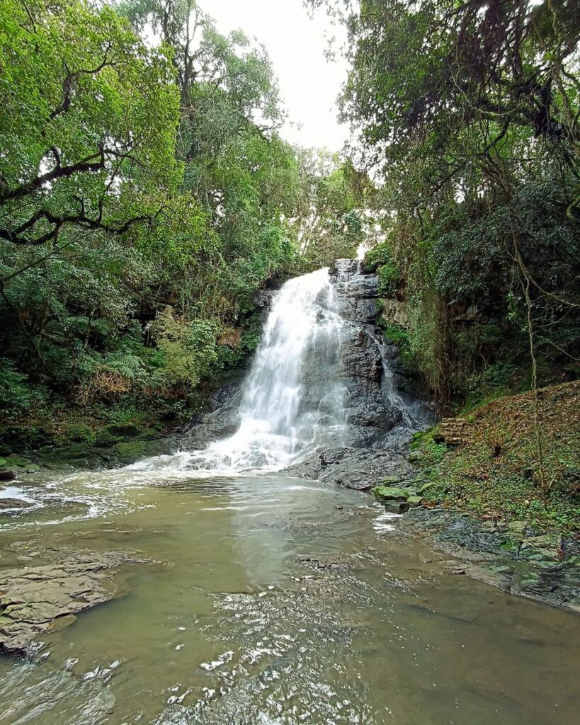 Cascata dos Narcisos