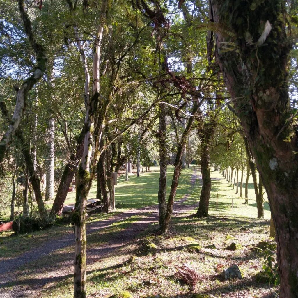 Parque Cascata da Usina