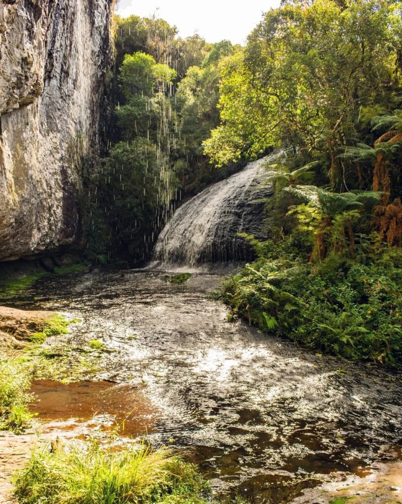 Parque Natural Municipal da Ronda 12