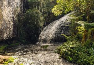 Parque Natural Municipal da Ronda 12