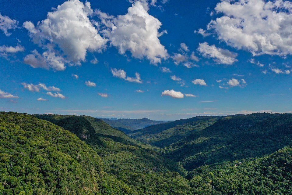 Parque Natural Municipal da Ronda