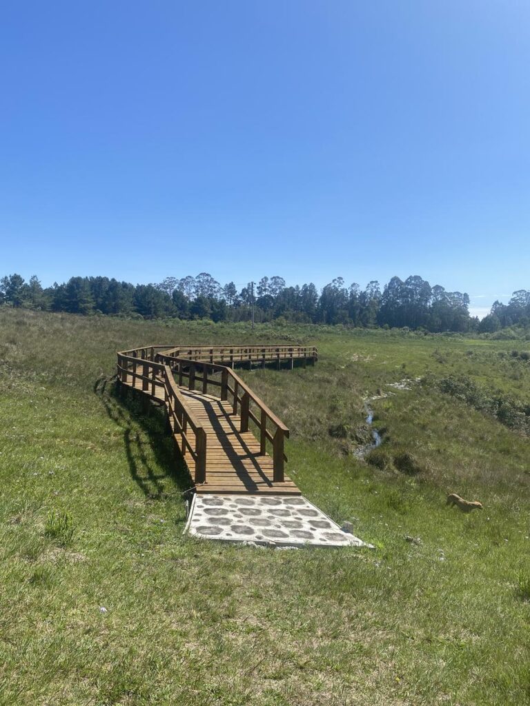 Parque Natural Municipal da Ronda