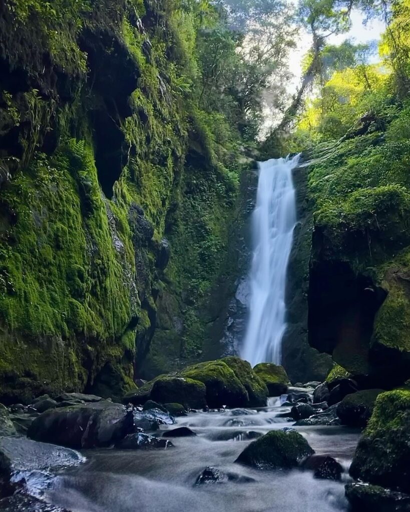 Parque das 8 Cachoeiras - Parque das Oito Cachoeiras