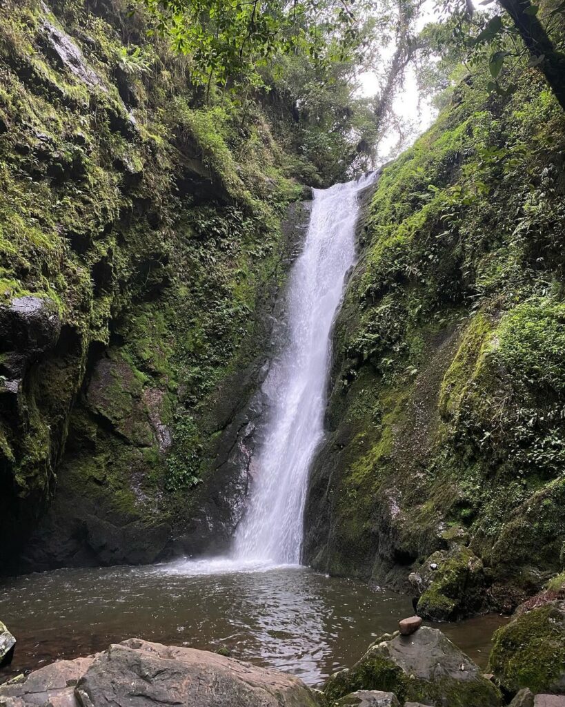 Parque das 8 Cachoeiras - Parque das Oito Cachoeiras