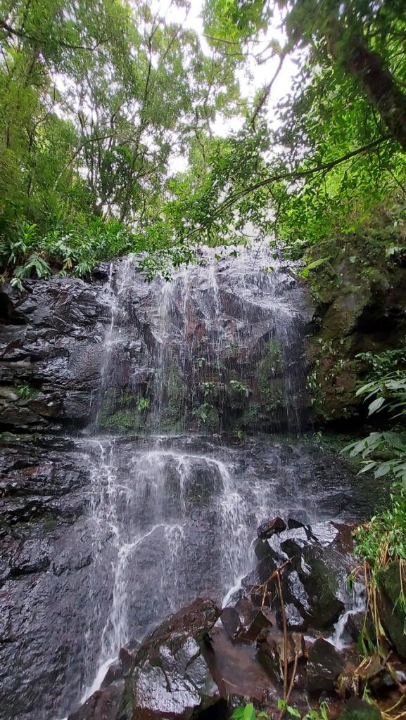 Parque das 8 Cachoeiras - Parque das Oito Cachoeiras