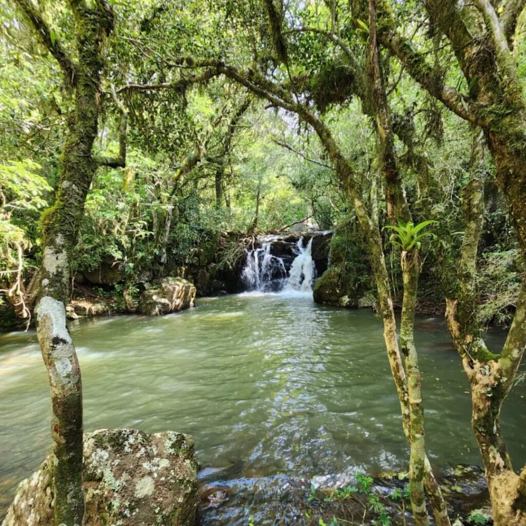 Sítio Cascata da Borússia 2