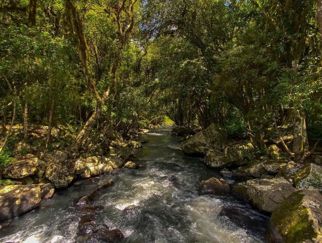 Sítio Cascata da Borússia