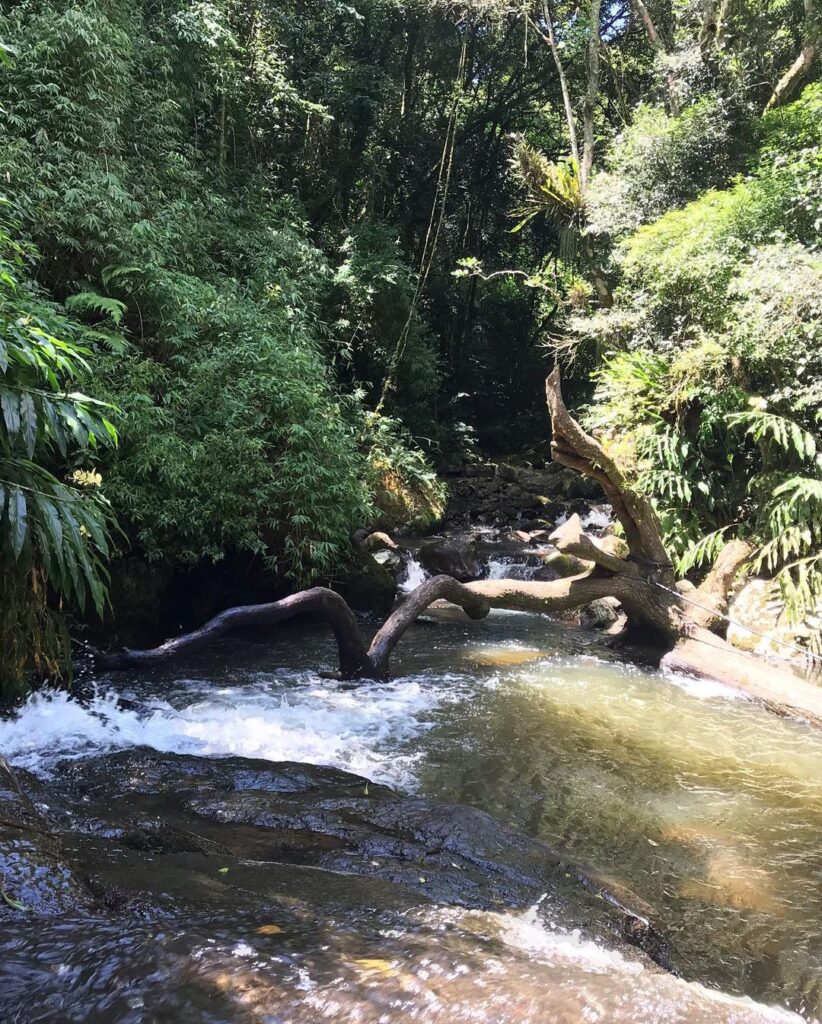 Terra do Sempre Reserva Ecológica e Pousada