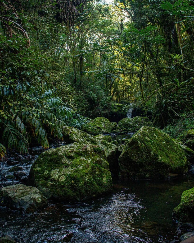 Terra do Sempre Reserva Ecológica e Pousada 8