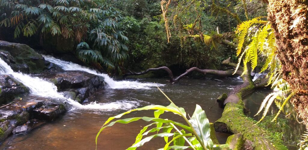 Terra do Sempre Reserva Ecológica e Pousada 8