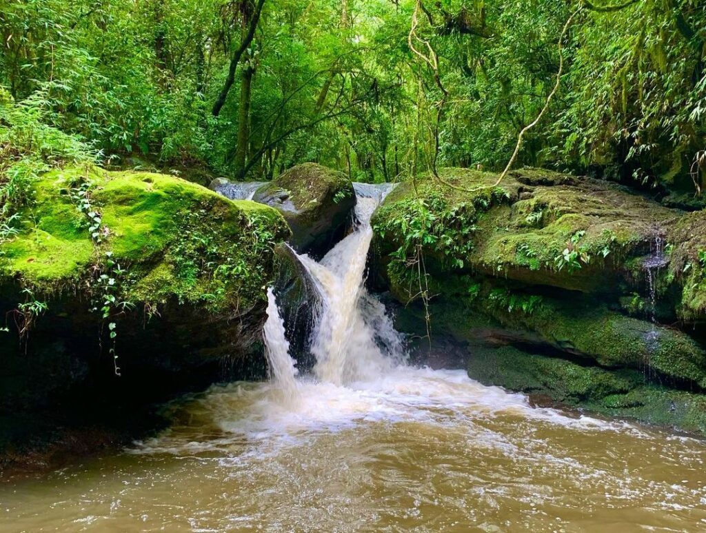 Terra do Sempre Reserva Ecológica e Pousada