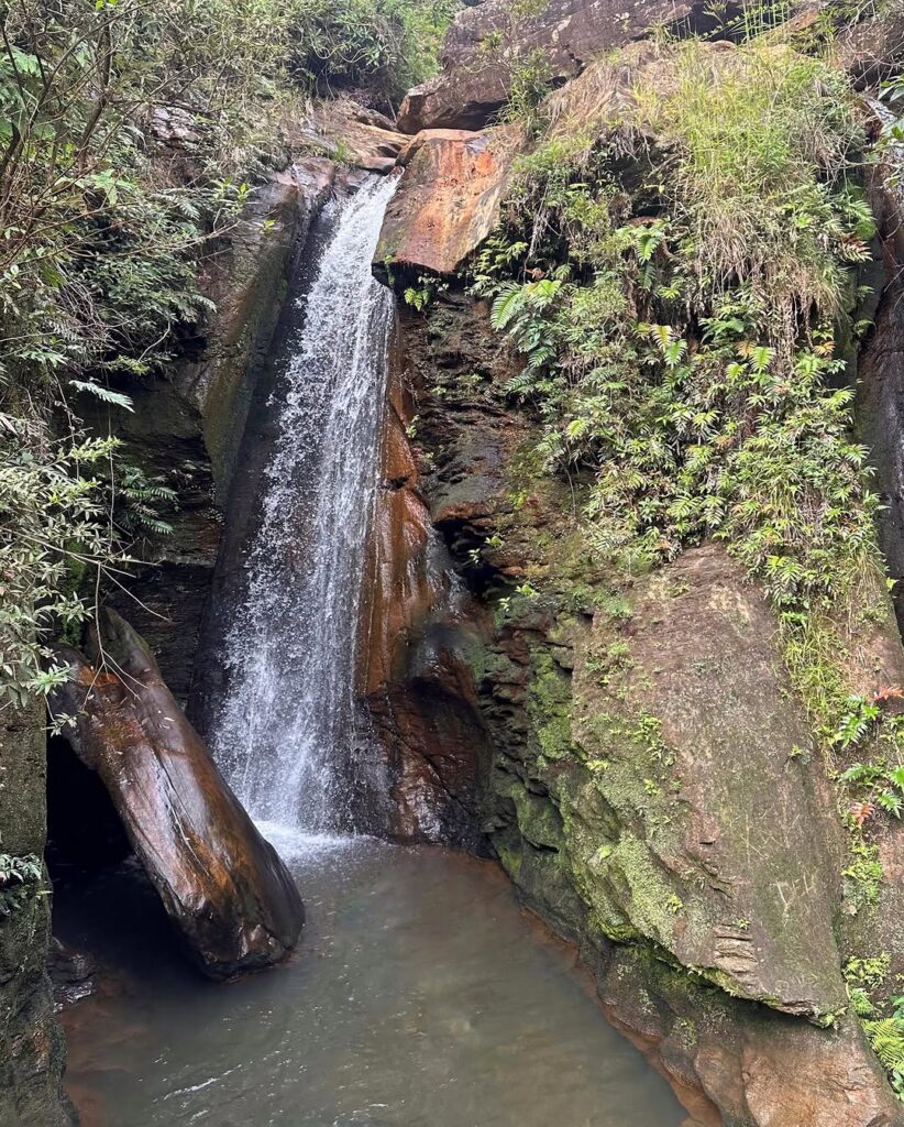 Parque das Andorinhas - Cachoeira das Andorinhas Ouro Preto