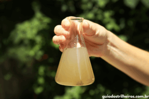 como purificar a água em um acampamento 4