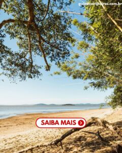 Praia das Pombas Itapuã