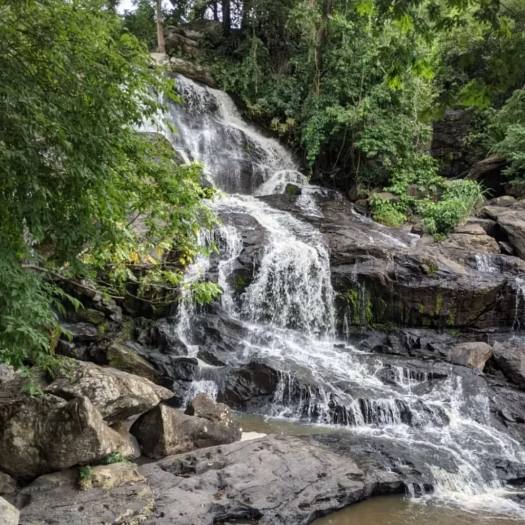 cachoeira do roncador