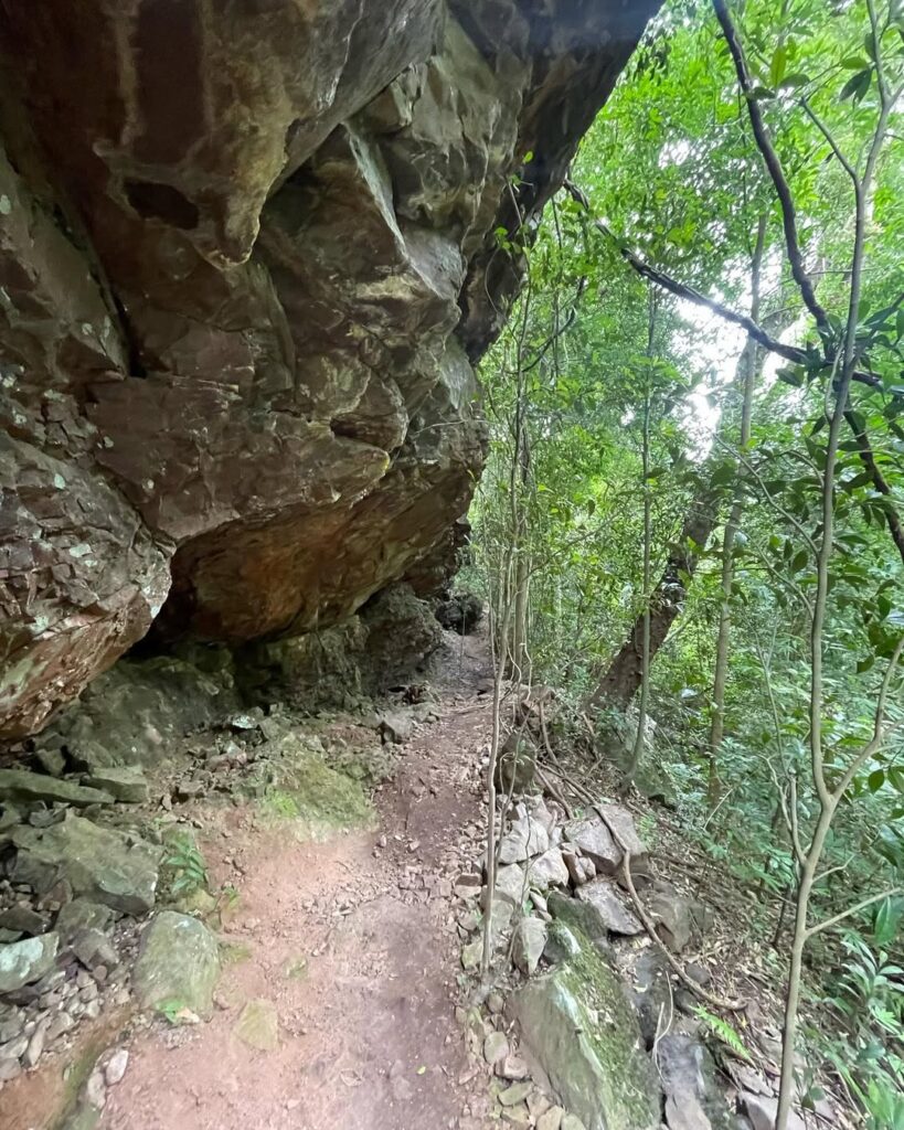 trilha jardim das deusas