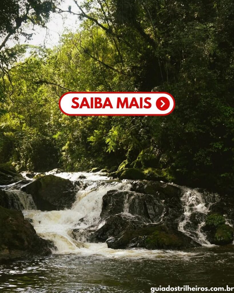 Cachoeira do Sagui
