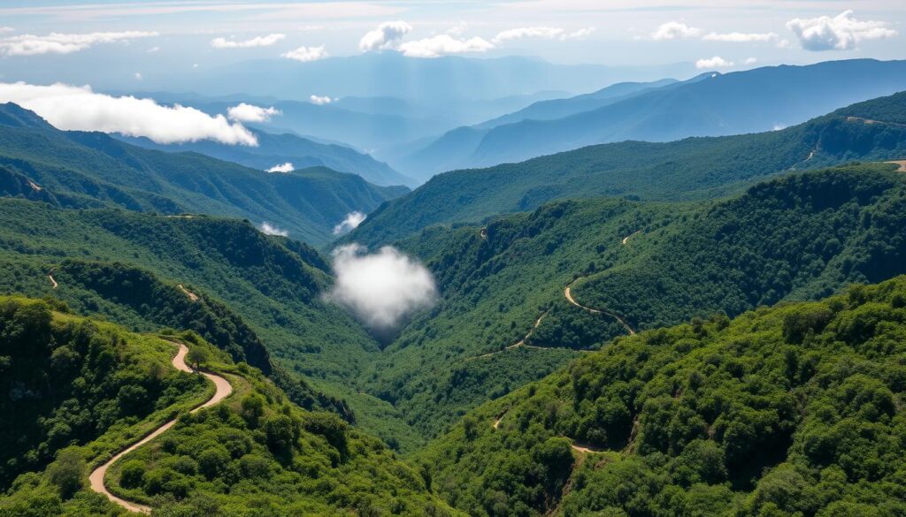 Vista panorâmica das montanhas de Monte Verde com trilhas visíveis entre a vegetação