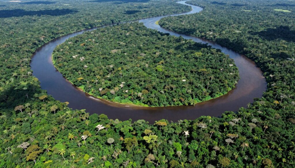 Vista aérea da Floresta Amazônica mostrando o Rio Amazonas serpenteando entre a densa vegetação
