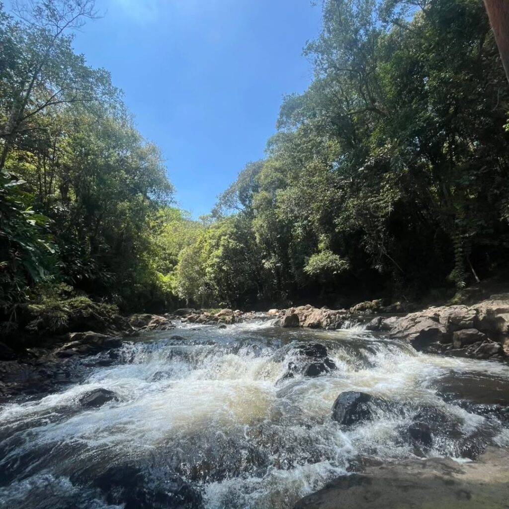 Cachoeira do Marsilac (selvasp)