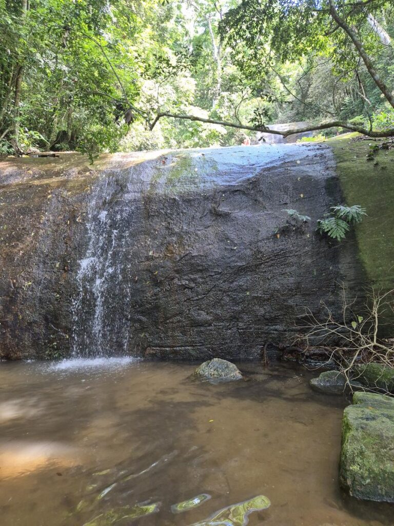 Cachoeira dos Primatas