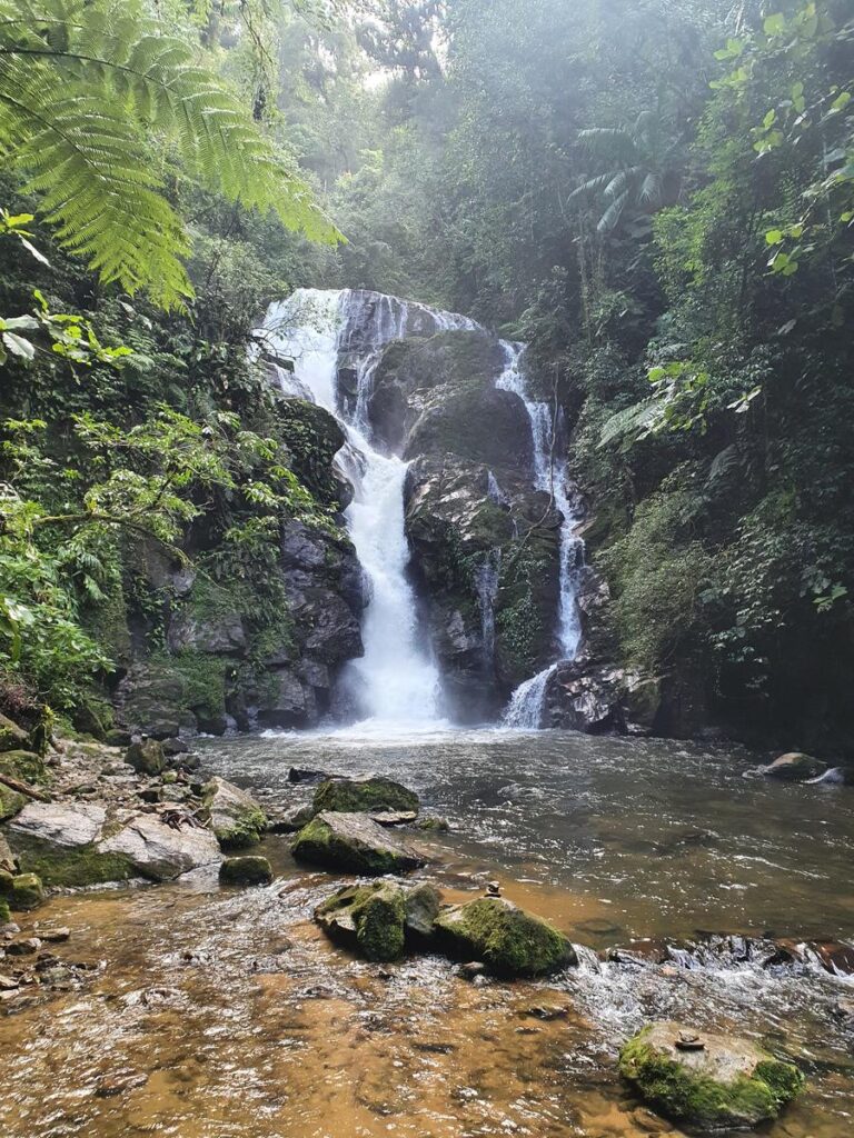 cachoeira do chá