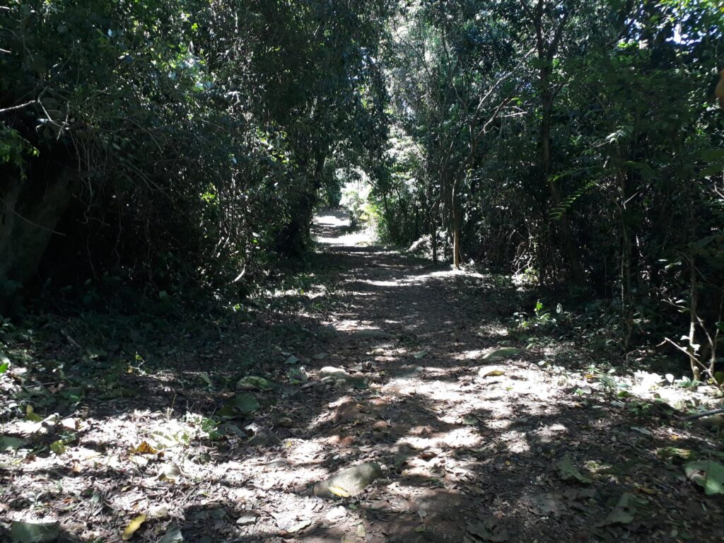 trilha cachoeira da laje