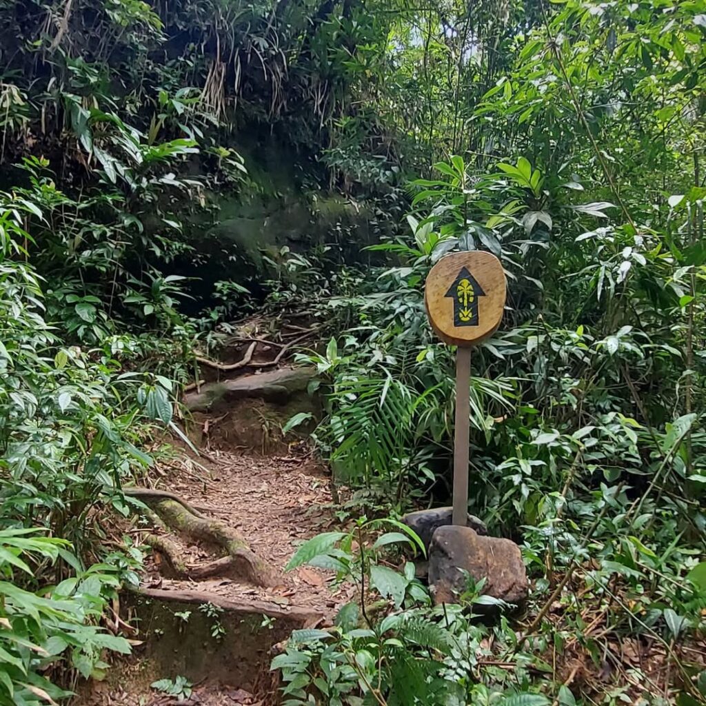 trilha cachoeira do elefante