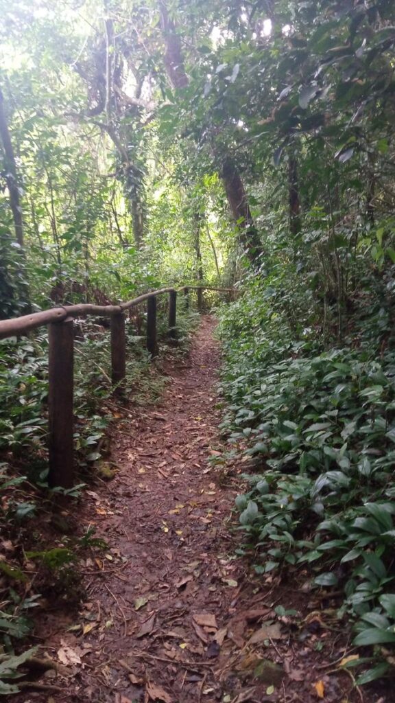 trilha cachoeira do veloso