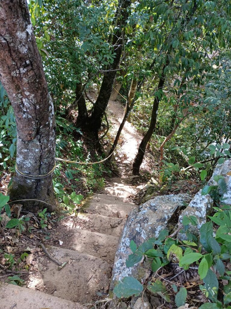 trilha cachoeira zé carlinhos